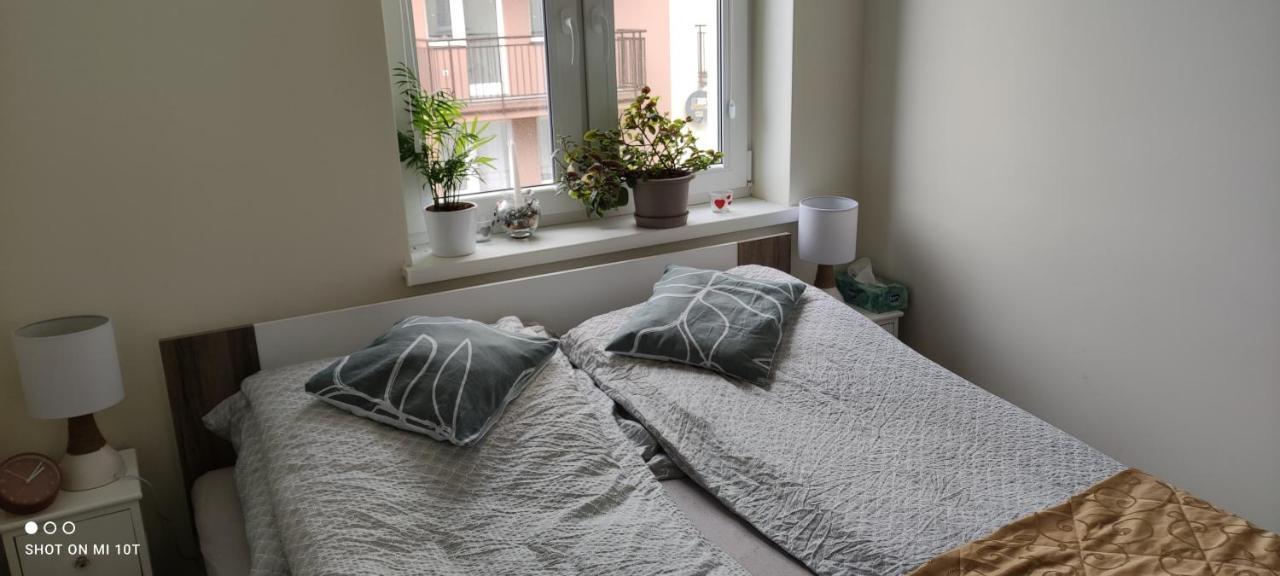 Apartament W Spokojnej Lokalizacji Cieplewo المظهر الخارجي الصورة